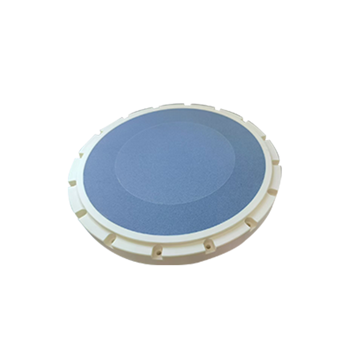 Microporous Ceramic Vacuum Chuck/carrier